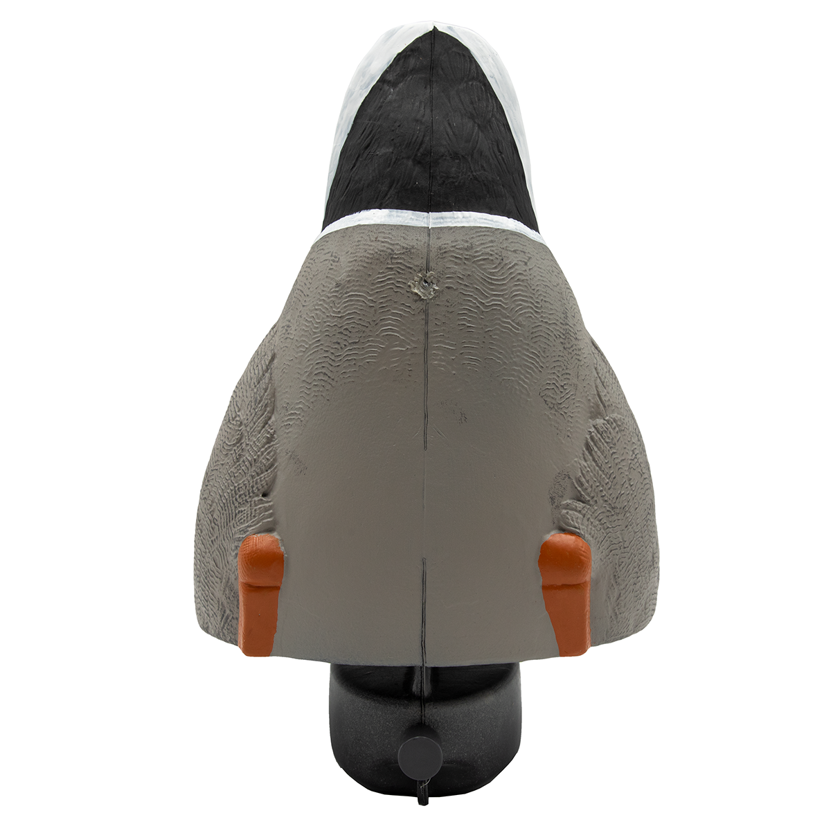 High Definition Mallard Duck Butts - 4 Pack
