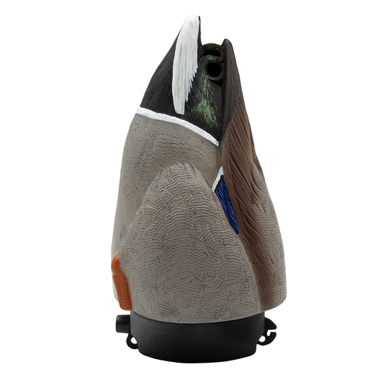 High Definition Mallard Duck Butts - 4 Pack