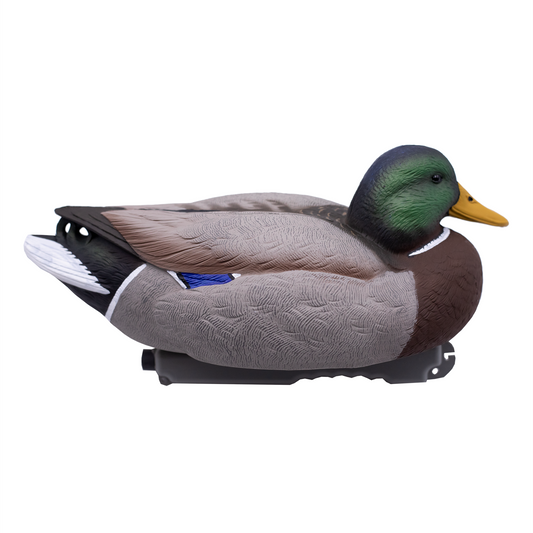 Ornamental Duck Pair