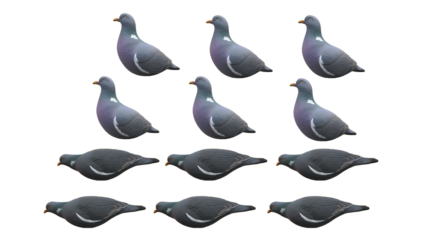 Pigeon Decoys - 12 Pack