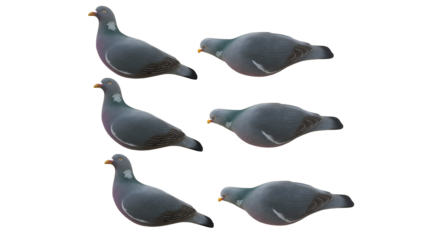 Pigeon Fully Flocked Decoys - 6 Pack