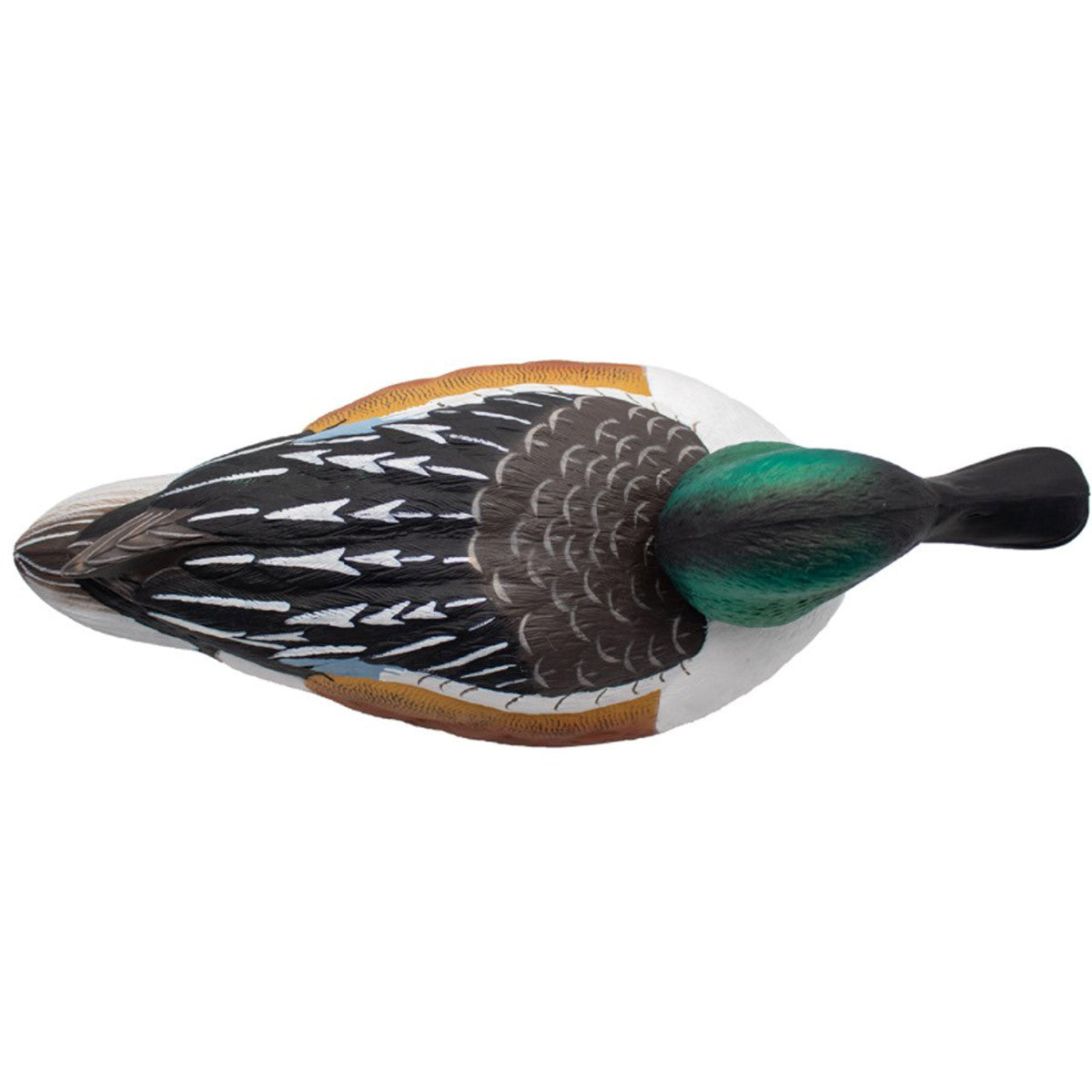 Floating Shovelers - 6 Pack