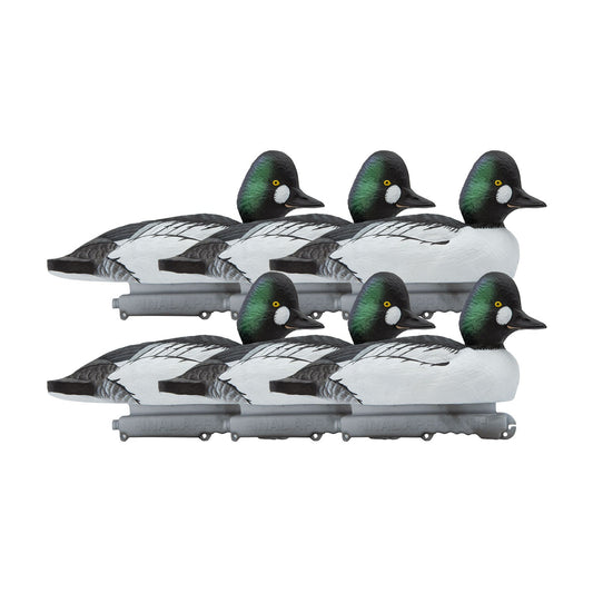Common Goldeneye Floating Duck Decoys - 6 Pack