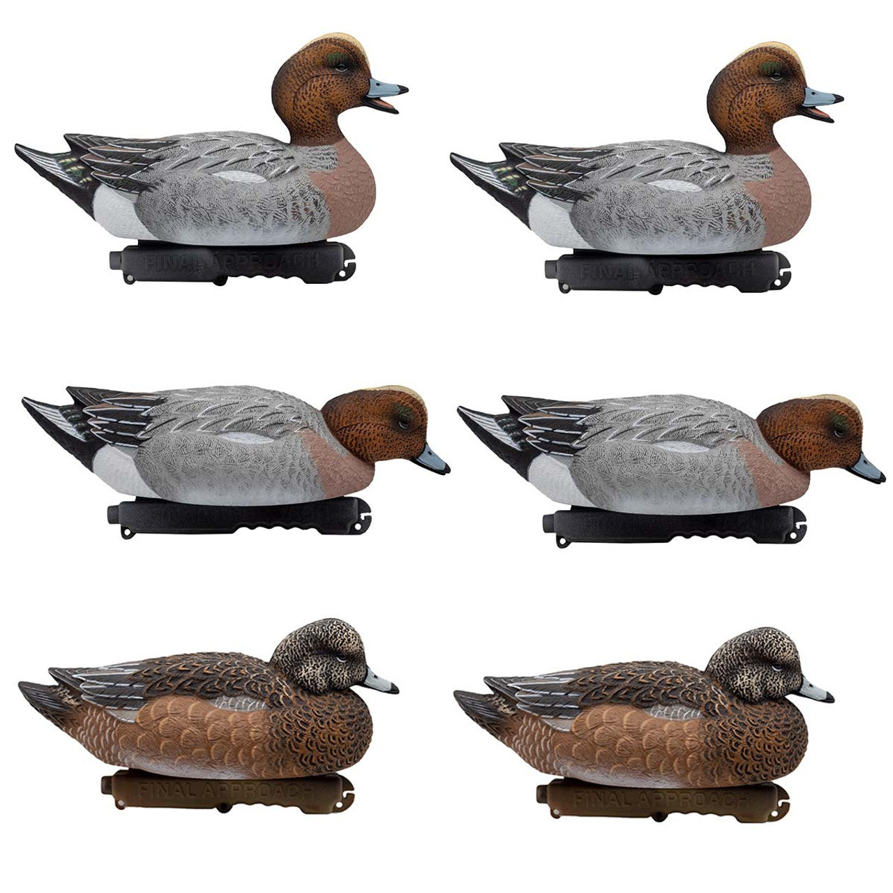 High Definition Eurasian Wigeon Floaters - 6 Pack