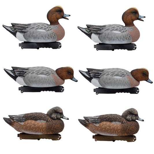 High Definition Eurasian Wigeon Floaters - 6 Pack