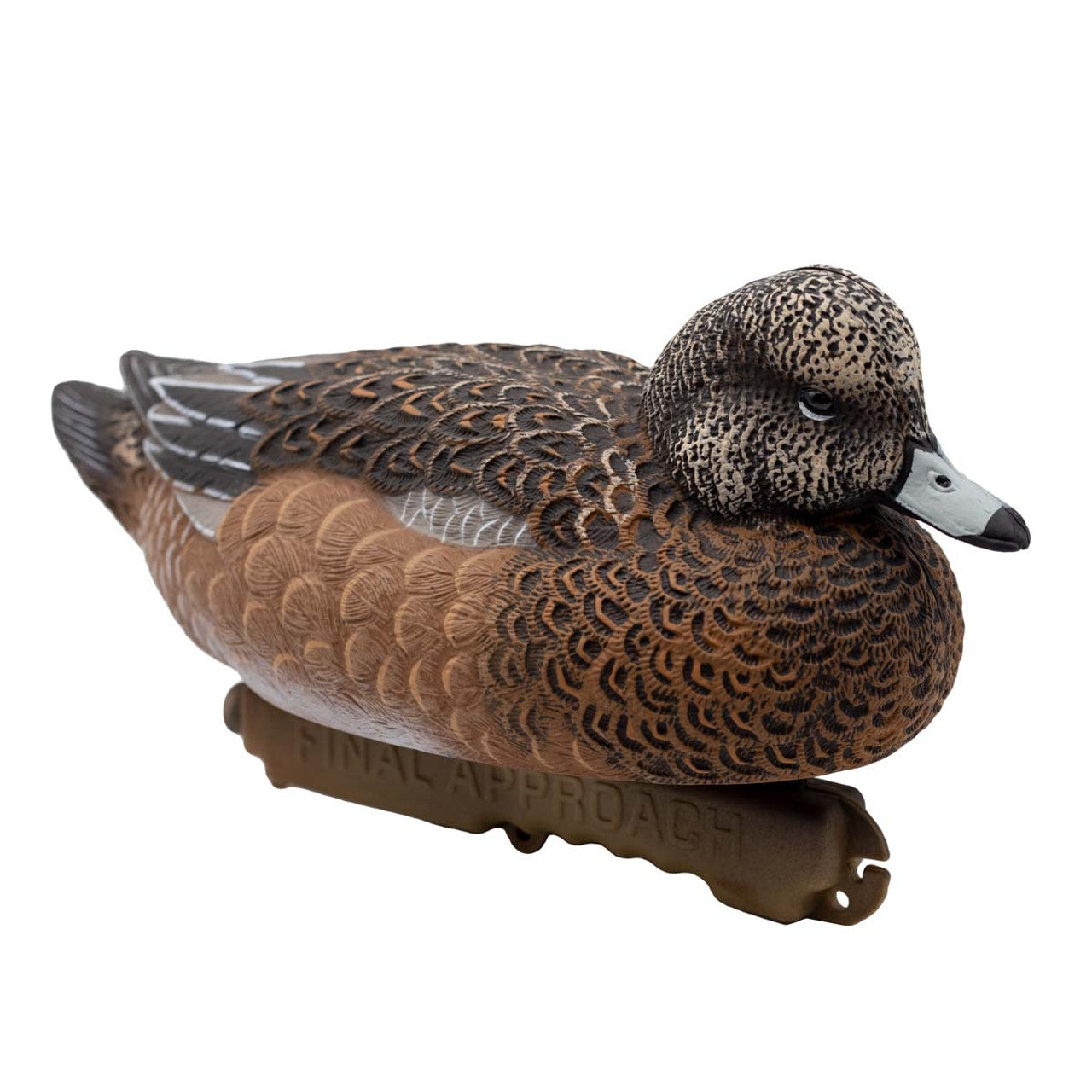 High Definition Eurasian Wigeon Floaters - 6 Pack