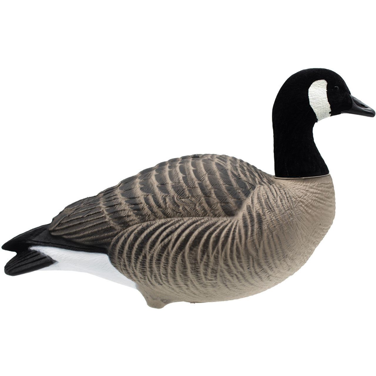 High Definition Full Body Lesser Canada Geese - 6 Pack