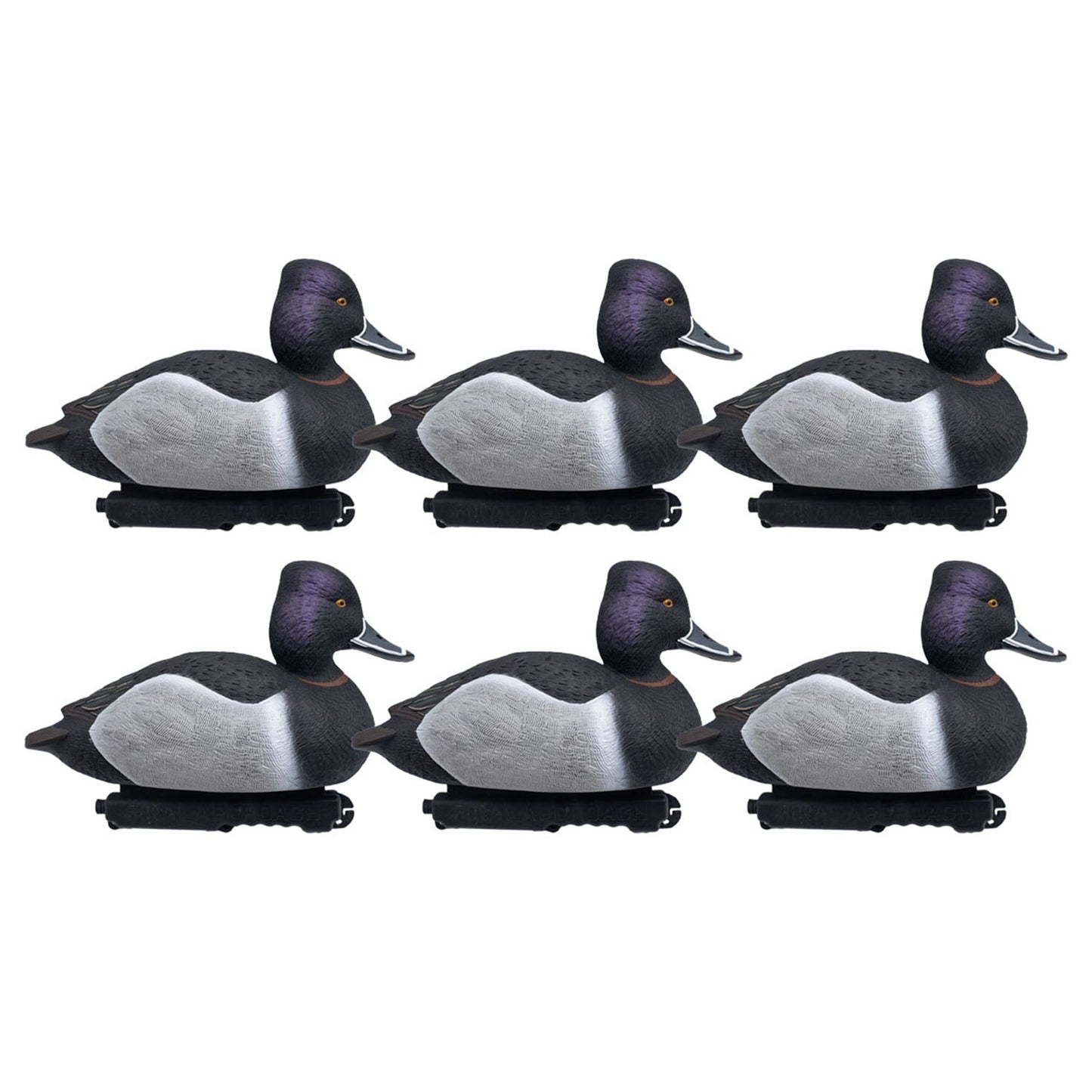 Foam Filled Ring-Necks, 6 Pack
