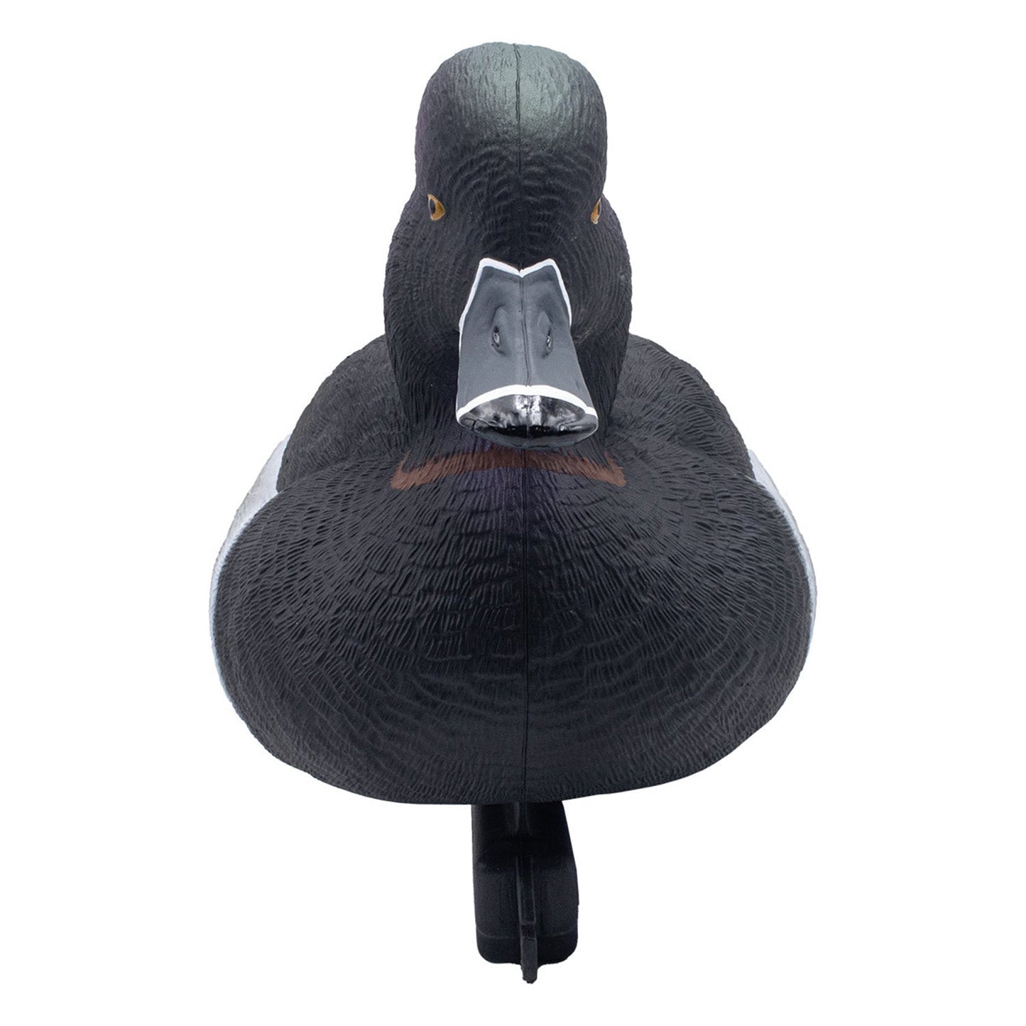 Foam Filled Ring-Necks, 6 Pack