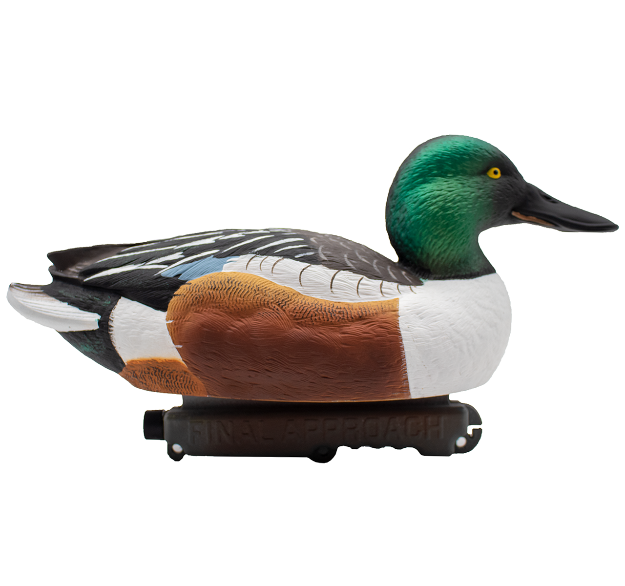 Floating Shovelers - 6 Pack
