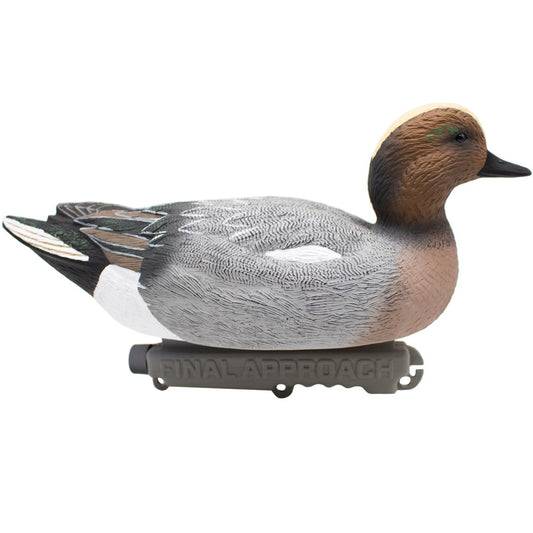 Eurasian Wigeon - 12 Pack