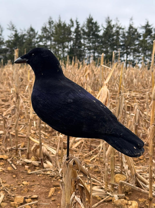 Fully Flocked Crow Decoys - 3 Pack