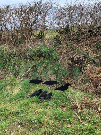 Fully Flocked Crow Decoys - 3 Pack