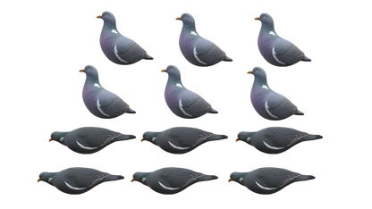 Pigeon Decoys - 12 Pack