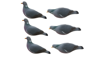 Pigeon Fully Flocked Decoys - 6 Pack