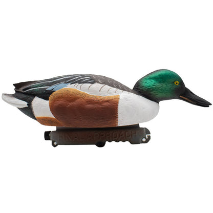 Floating Shovelers - 6 Pack
