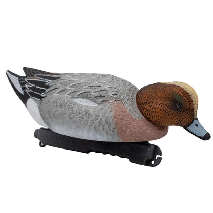 High Definition Eurasian Wigeon Floaters - 6 Pack