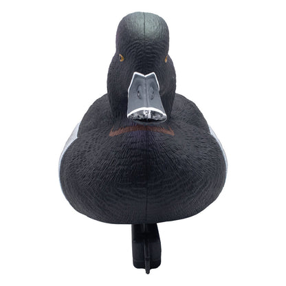 Foam Filled Ring-Necks, 6 Pack