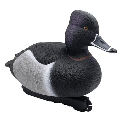 Foam Filled Ring-Necks, 6 Pack
