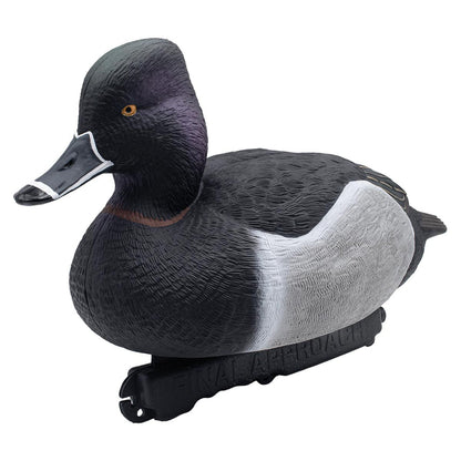 Foam Filled Ring-Necks, 6 Pack