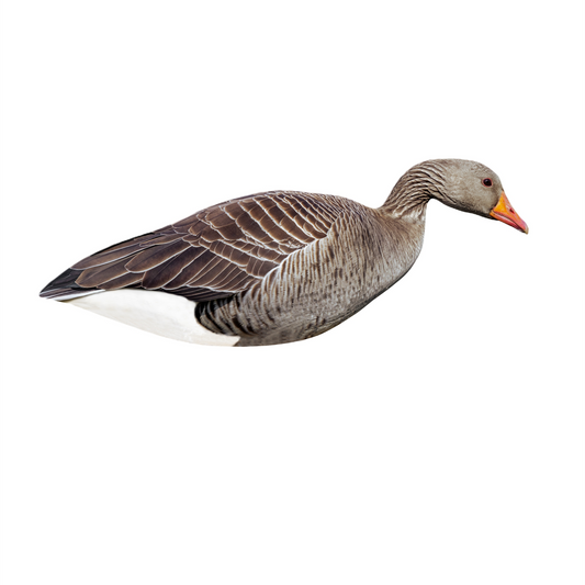 Greylag Goose Silhouette Decoys 12 Pack