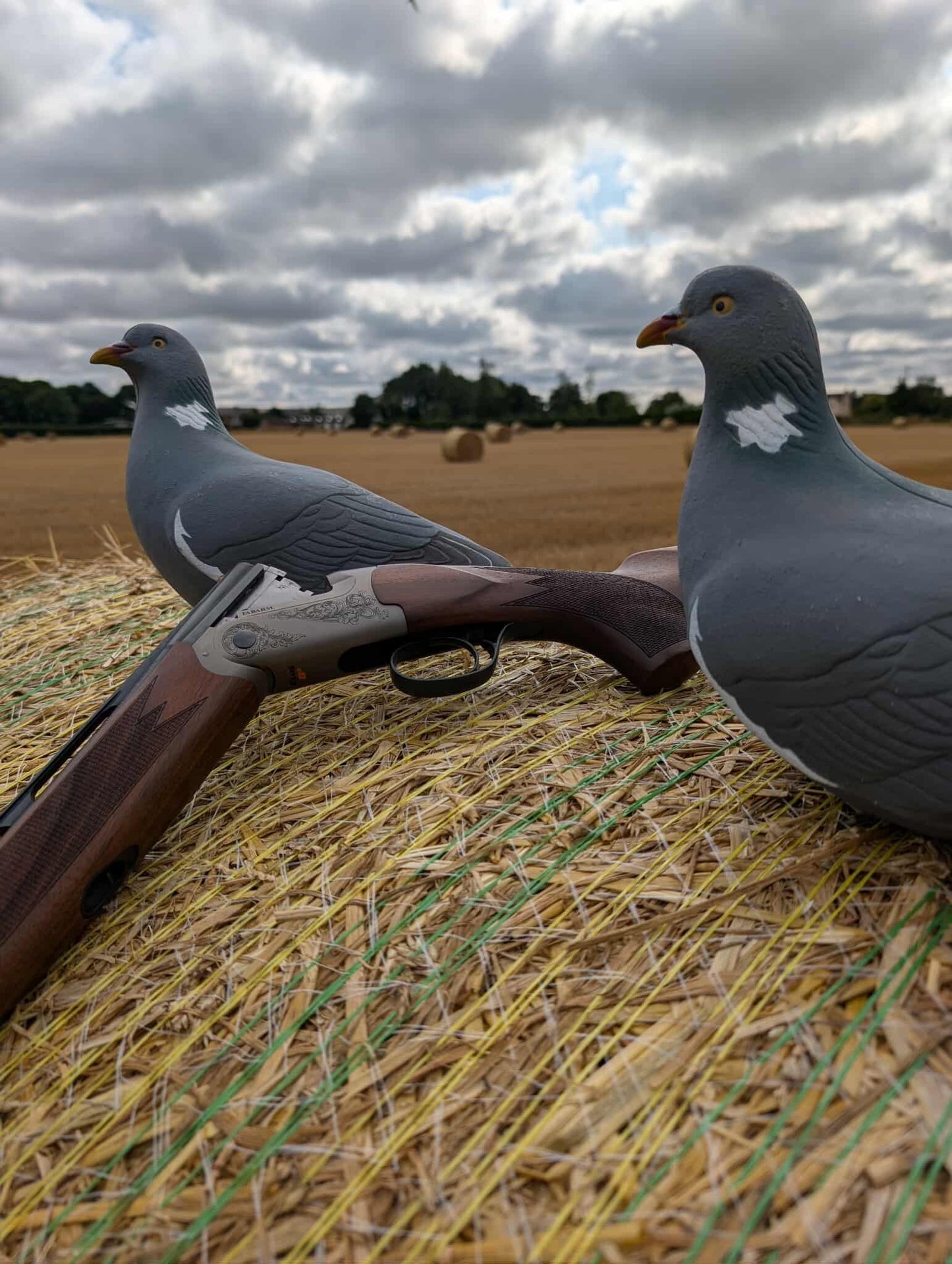 Final Approach Wood Pigeon Decoys - 12 Pack