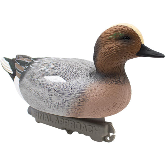 Eurasian Wigeon - 12 Pack