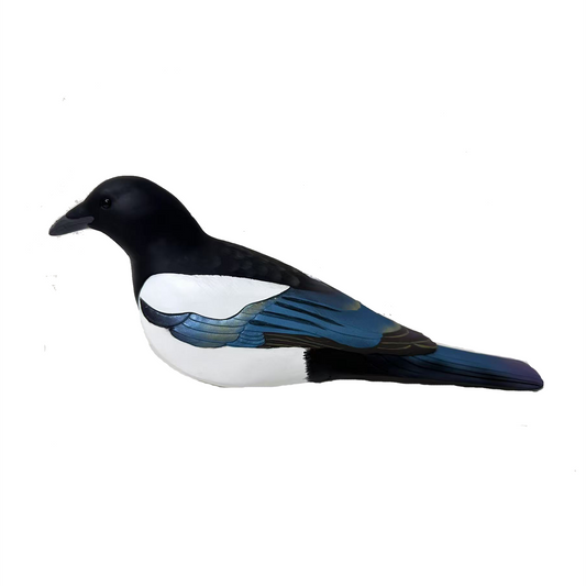 Magpie - 4 pack